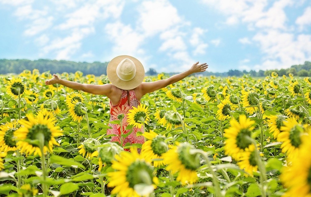 psicoterapia strategica online